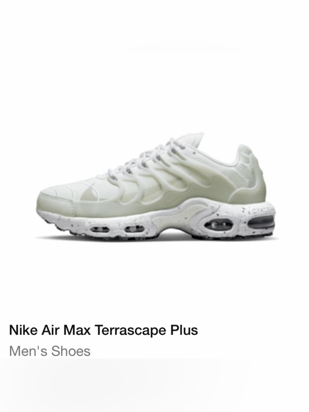Nike Air Max Terrascape Plus White Light Gray